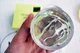 Ночная маска-детокс для лица с киви и улиточным муцином Bioaqua Kiwifruit Snail Tender Skin Sleep Mask 120г - изображение 6