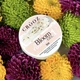 Гель для дизайну нігтів Crooz Bloom Flower Gel №01 5 мл - зображення 2