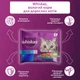 Промо набор Упаковка влажного корма для кошек Whiskas тунец, лосось в желе 13 х (4 х 85 г) (8410136026102) - изображение 5