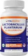 Добавка премиум-класса пищеварительная поддержка Vitamatic Lactobacillus Plantarum 20 Billion 60 капсул - изображение 1