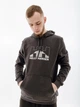 Худі HELLY HANSEN NORD GRAPHIC PULL OVER HOODIE 62975-981 L, 7040057043844 - изображение 1