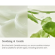 Сыворотка Beauty of Joseon Light On Serum Centella + Vita C осветляющая с витамином С и центеллой 30 мл - изображение 3