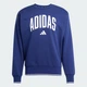 Свитшот оверсайз на флисе мужской Adidas Collegiate JM1734 M Синий с принтом (4068808784702) - изображение 6