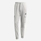 Спортивные штаны утепленные мужские Adidas M Felczy C Pant JE3823 M Mgreyh/Black (4067906182564) - изображение 6