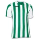 Футболка зелено-белая Joma COPA 100001.450 Joma S - изображение 1