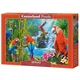 Пазли 2000 елем. Parrot meeting C-200870 Castorland - изображение 1