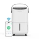 Осушитель воздуха EvoAir NovaDry 12 Smart с Wi-Fi управлением, 12л/24ч, датчик влажности, ионизация, УФ-лампа, функция сушки одежды, резервуар 2,5л, цифровой дисплей, белый цвет с черным ремешком - изображение 1