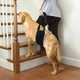 Поддерживающая шлейка для собак Harness Helps, нагрудная/для бедер, L Черный (222L-BLACK) - изображение 2