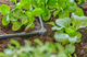 Łączniki Gardena L 4.6 mm (13212-20) - obraz 3