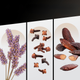 Zestaw męski Bruno Banani Man Woda toaletowa 30 ml + Żel pod prysznic 50 ml (3616303474041) - obraz 4