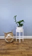 Подставка под вазон из натурального дерева белого цвета WoodDecor низкая - изображение 1