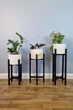 Подставки для вазонов деревянные WoodDecor комплект в черном цвете - изображение 2