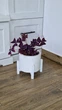 Комплект подставок для цветов и вазонов 2шт WoodDecor белого цвета - изображение 5