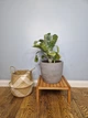 Подставка для вазона,цветов из дерева d36 см WoodDecor покрытая маслом - изображение 1