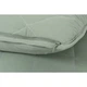Набор одеяло с подушками Penelope Colors in Comfort green зеленый евро (svt-2000022343459) - изображение 4