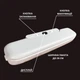 Вакуумний пакувальник 2 в 1 Vacuum Sealer 120W тихий та потужний вакууматор для дому і запаювання FK-7912 і 10 пакетів в подарунок розмір пакетів до 28 см - изображение 5