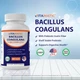 Добавка премиум-класса способствует пищеварительному здоровью Vitamatic Bacillus Coagulans 60 капсул - изображение 3