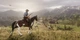 Red Dead Redemption 2 PC Rockstar Key Код для RockStar Games Launcher - изображение 7
