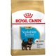 Сухий корм для цуценят Royal Canin Yorkshire Puppy 500 г (3182550743464) - зображення 1