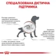 Сухой корм для собак при расстройствах пищеварения Royal Canin Gastrointestinal Low Fat Dog 1.5 кг (3182550771153) - изображение 2