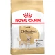 Сухой корм для собак Royal Canin Chihuahua Adult 500 г (3182550718813) - изображение 1