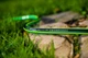 Шланг садовый Cellfast Green ATS2 для полива диаметр 3/4 дюйма, длина 25 м (GR 3/4 25) - изображение 3