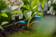 Regulowany wbudowany kroplownik Gardena 13315-20 - obraz 3