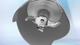 Blender Bosch MSM 4W221 Biały - obraz 4