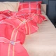 Простынь MirSon Евро 200x220 см 17-0783 Checkered Flame Бязь (2200011274676) - изображение 1