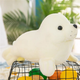 Maskotka-przytulanka Lean Toys Foka Biała 24 cm 13829 (5905991033202) - obraz 2