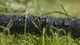 Сочится шланг Bradas AQUA-DROP 1/2" – 20м, WAD1/2020 - изображение 2