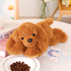 Maskotka Lean Toys Cocker Spaniel z obciążonymi łapami Brązowy 30 cm 22435 (5905991047919) - obraz 2