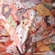 Підковдра MirSon King Size 220x240 см 17-0775 Bombshell cats Бязь (2200011237381) - зображення 4