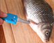Рибочистка з ножем та контейнером Killing-fish Knife синя - зображення 5