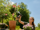 Opryskiwacz Gardena EasyPump 1 l (11114-20) - obraz 3