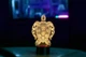 Сменная пластина для 3D светильников "Черепаха" 3DTOYSLAMP 3347706 - изображение 1