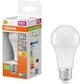 Светодиодная лампа OSRAM LED A100 13W 1521Lm 2700K E27 (4058075127029) - изображение 3