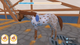 Гра Nintendo Switch My Life: Riding Stables 3 (картридж) (8720618957931) - зображення 6
