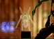 Сменная пластина для 3D светильников "Паук" 3DTOYSLAMP 3347730 - изображение 1