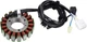 Генератор Статор магнето Yamaha T-MAX TMAX 500 2001 2002 2003 2004 2005 2006 2007 2008 2009 2010 2011 - зображення 7