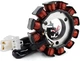 Генератор Статор магнето Yamaha CZD300 CZD250 MWD300 X-Max Xmax 250 300 ABS Tech Max Evolis Tricity 300 - изображение 5