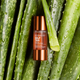 Koncentrat samoopalający do twarzy Clarins Self Tan Addition Concentre Eclat 15 ml (3380810449068) - obraz 2