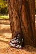 Роликові ковзани для дорослих K2 ALEXIS 80 ALU W 40.5 (9.5US) 265мм Black/dark grey/pink (30E0270.1.1) - изображение 8