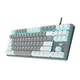 Ігрова клавіатура Aula Mechanical F3287 keycap KRGD blue, RGB, White/Grey - зображення 2