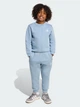 Детский теплый спортивный костюм (свитшот + штаны) для мальчика Adidas Originals JY4881 110 см Tactile Blue (4068807720138) - изображение 1