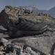 Женские кроссовки для треккинга Adidas Terrex Skychaser Ax5 W JQ2225 39.5 (6UK) 24.5 см Cblack/Cblack/Seflaq (4067903113219) - изображение 2
