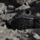 Женские кроссовки для треккинга Adidas Terrex Skychaser Ax5 W JQ2225 39.5 (6UK) 24.5 см Cblack/Cblack/Seflaq (4067903113219) - изображение 10