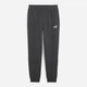 Спортивные штаны на флисе женские Puma Essentials Foundation 68244807 XS Dark Gray Heather (4067983601965) - изображение 4