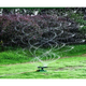 Вращающийся садовый разбрызгиватель 360 Lawn Water Sprinkler UKC ART-5058 равномерное орошение полный охват участка - изображение 4