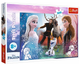 Puzzle Trefl Kraina Lodu 2 Disney 300 elementów 23006 (5900511230062) - obraz 1